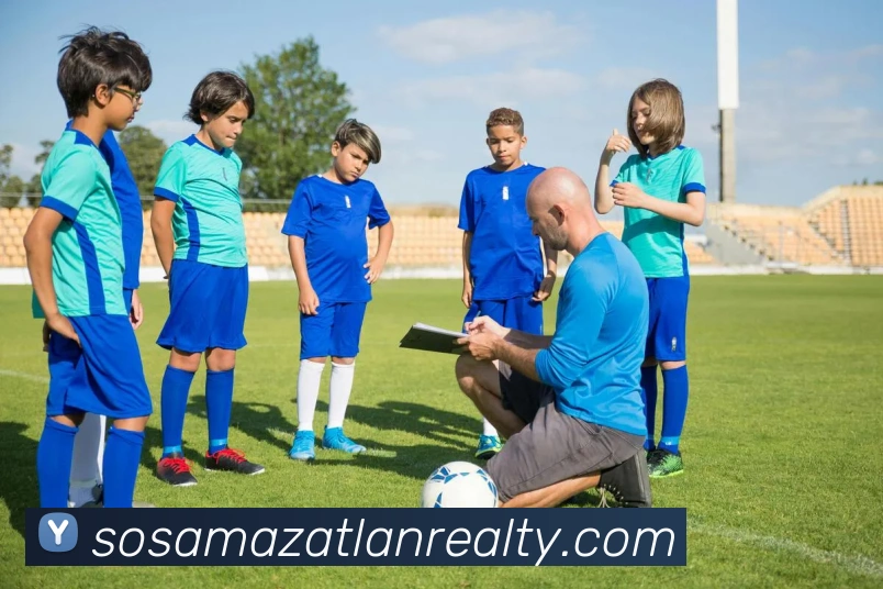 乐鱼体育入口平台生态图